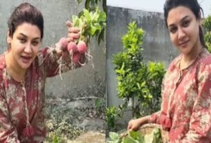 ‘ছোট ছোট কাজের মধ্যেই লুকিয়ে থাকে জীবনের পরম তৃপ্তি’