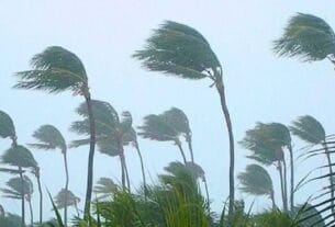 ৯ জেলায় ঝড়ের পূর্বাভাস